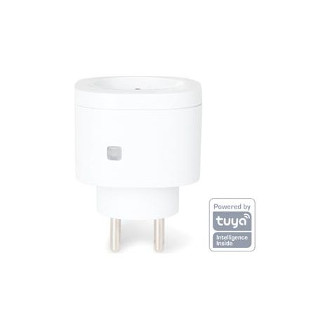 smart spina intelligente wifi - collegamento a terra del rubinetto (1/5)