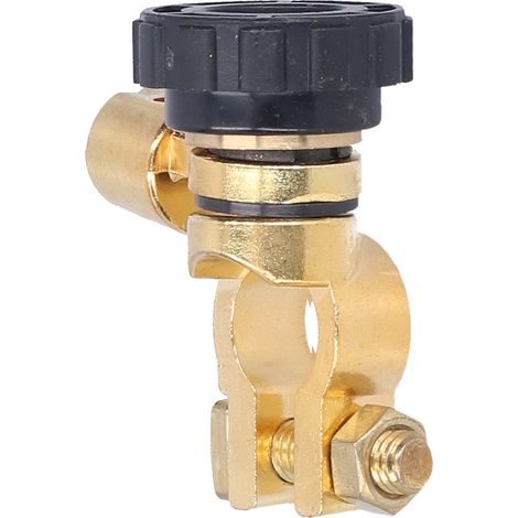 17-mm-Universal-Diebstahlsicherungsschalter für die Batterie, geeignet für Auto, Boot, Yacht, Wohnmobil, LKW, Pick-up (Schwarz) (1/5)