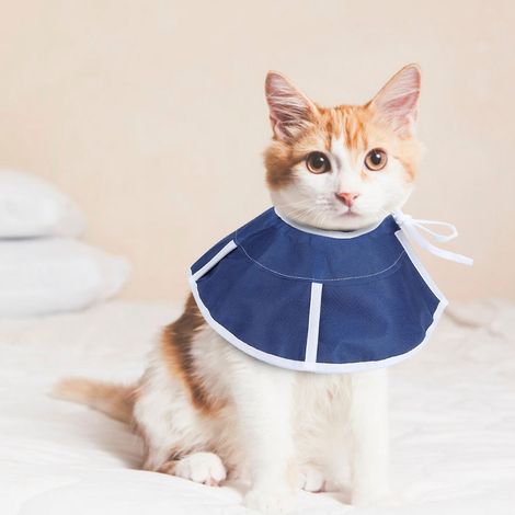 Collier de protection mignon pour animaux de compagnie, cicatrisation des plaies, anti-morsure, Elizabeth Circle, ajustable pour chats et chiens (1/5)