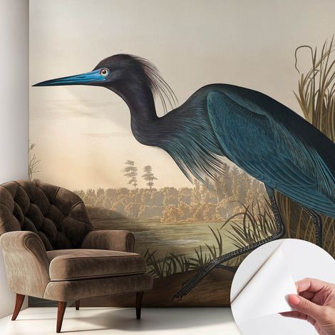 Papier peint adhésif décoratif pour salon chambre et cuisine Facile à poser avec colle Oiseaux aquatiques 250x250 cm (1/5)