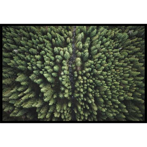 Affiche encadrée forêt vue du ciel (1/5)