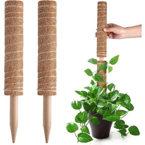 Tuteur en mousse pour plantes Monstera, support extensible pour plantes, tuteurs pour plantes d'intérieur en pot, 40 cm (1/5)