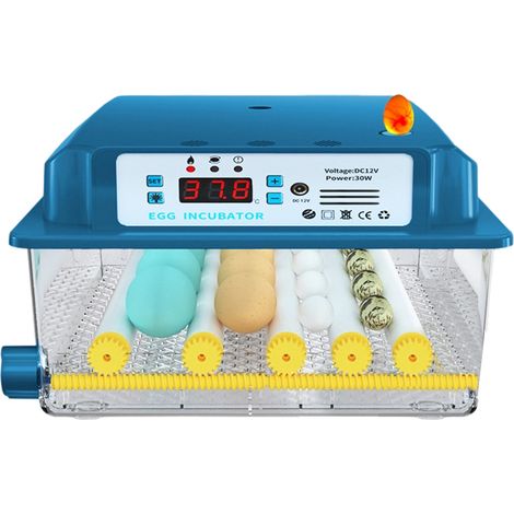 Incubateur automatique intelligent à température constante pour volailles, poulets, canards, oies, oiseaux, poissons, lézards et œufs.-AquaForge (1/5)