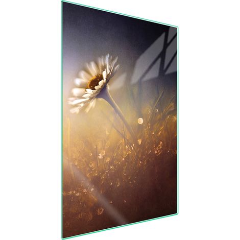 TAGLIERE IN VETRO 35x52 Fiore (1/5)