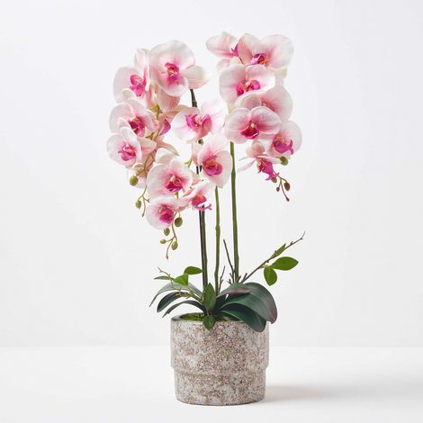 HOMESCAPES Künstliche pink-weiße Phalaenopsis-Orchidee im hellgrauen Zement-Topf, 64 cm