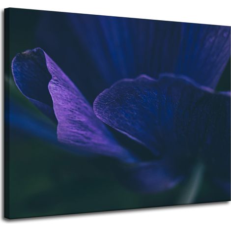 Lienzo impreso Botánica Pétalos morados 100x80