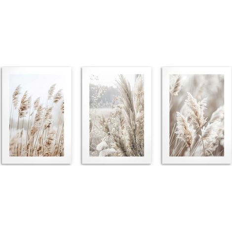 Wandposter fürs Wohnzimmer, Boho Poster Pampasgras 3x 50x70cm