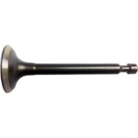 Valvula Admision compatible con Honda gx25  Ref 300566