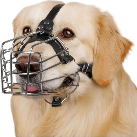 Muselière en métal pour Chiens, Toutes Tailles. Respirante, réglable, rembourrée, Permet de Boire, empêche de Mordre. Idéale pour entraînement et sécurité (Malinois & Labrador) (1/5)