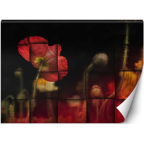 Fototapete Rote Mohnblume 100x70 cm