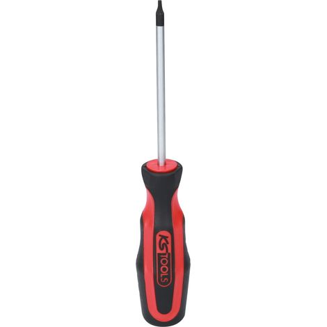 Tournevis Ergotorque plus Torx percé T10 100 mm (1/4)