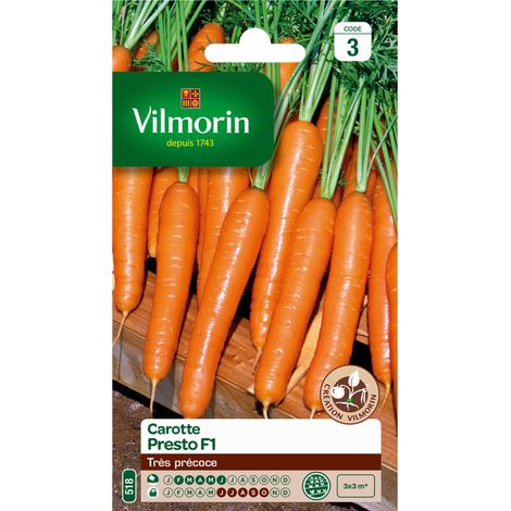 Carotte Presto HF1 Vilmorin