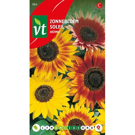 Tournesol Distino - Ca. 1 gr (Livraison Gratuite) (1/2)
