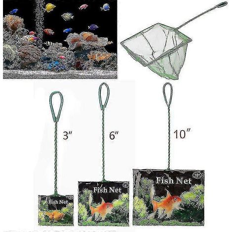 Épuisette carrée portable à long manche, accessoire d'aquarium, outil de nettoyage des flotteurs de poissons (3 pouces) (1/5)