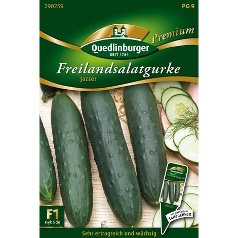 Quedlinburger Saatgut – Concombre de plein air « Jazzer » – Graines de légumes, hybride parthénocarpique, fruits de 18 à 22 cm (1/2)