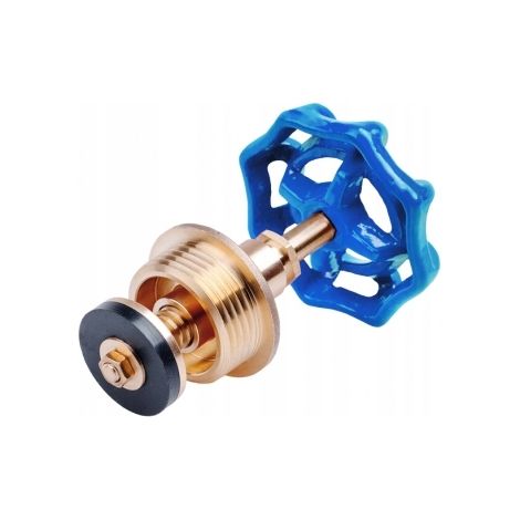 Tête de vanne en fonte 1 1/2" DN40 - bleue - avec joint et bouchon - durable et robuste (1/3)