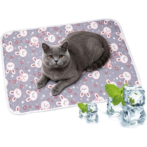 Tapis rafraîchissant portable, respirant, lavable et mignon pour chiens  Couverture rafraîchissante pour chats (chatons et chiots), petites et moyennes tailles, pour la maison, le canapé, le sol, une  (1/5)