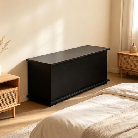 Banc coffre de rangement 100x40x40 cm en panneaux de bois noir, gain de place pour salon FloraGrace (1/5)