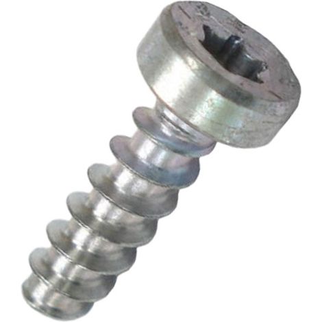 ZYL. SCHRAUBE IS-P6X19 - STIHL - 90744784425