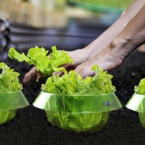 Cloche De Jardin - Protection Pour Semis Contre Gel Oiseaux Et Escargots - En Plastique Épais Transparent Vert - Réutilisable - 10 Pièces (1/5)