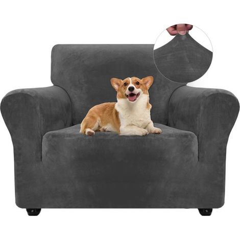 1 Housse de Canapé,Velours Extensible,Polyester Doux,Bande Élastique,Protection Animaux,Salon (1/5)