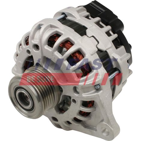 Alternador rápido FT74066 (1/4)