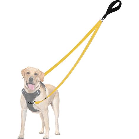 Laisse Anti-Traction pour Chien, Double Laisse Anti-Traction réfléchissant, pour l'entraînement et la Marche, pour Chiens de Grande Taille et Moyenne (Jaune) (1/5)