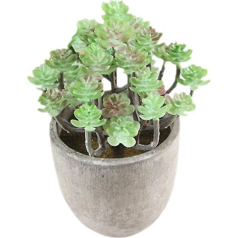1 ornement succulent (1/3)
