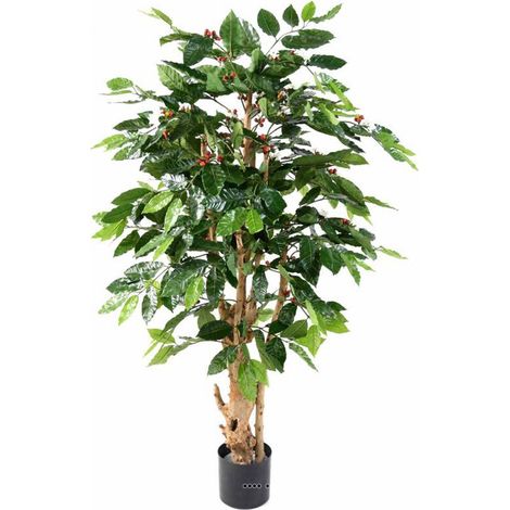 Cafeïer artificiel en pot, H 150 cm, D 70 cm, tronc noueux
