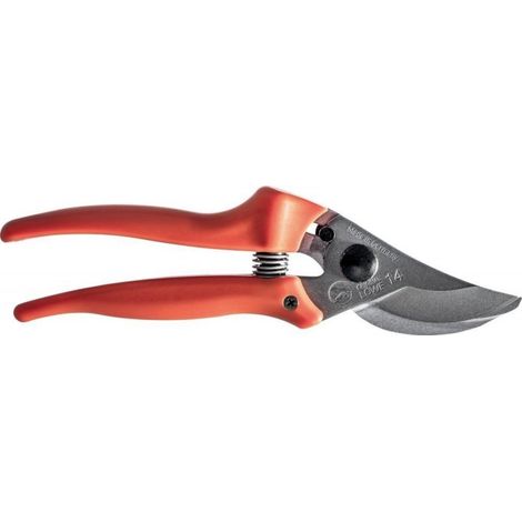 Shear Compatto (1/2)