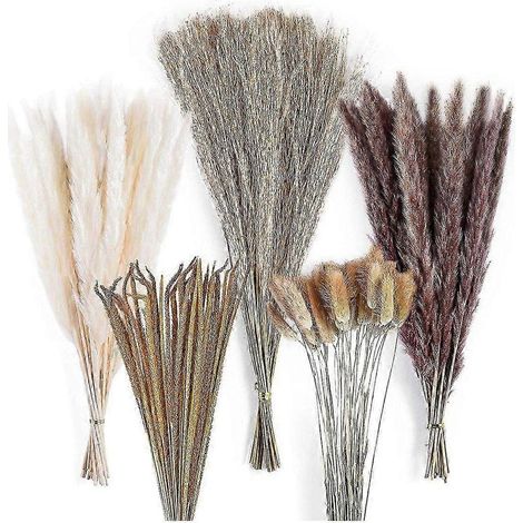 Bouquet décoratif de 120 herbes de la pampa séchées - Composition florale naturelle élégante pour la décoration intérieure et les événements