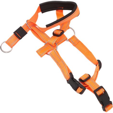 Collare per la testa del cane – cavezza – cinghia di sicurezza – anti-trazione – XL – per passeggiate all'aperto