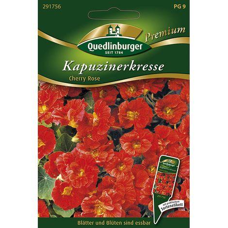 Quedlinburger Saatgut – Capucine « Cherry Rose » – Graines de fleurs, fleurs comestibles rouge cerise, non grimpante, 30 cm