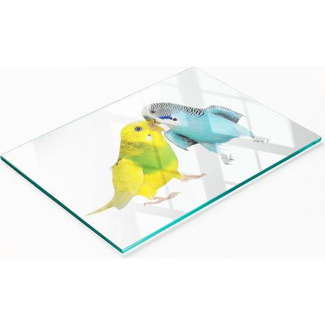 Plateau de service décoratif en verre pour apéritifs, motif perruches, 80 x 52 cm (1/5)