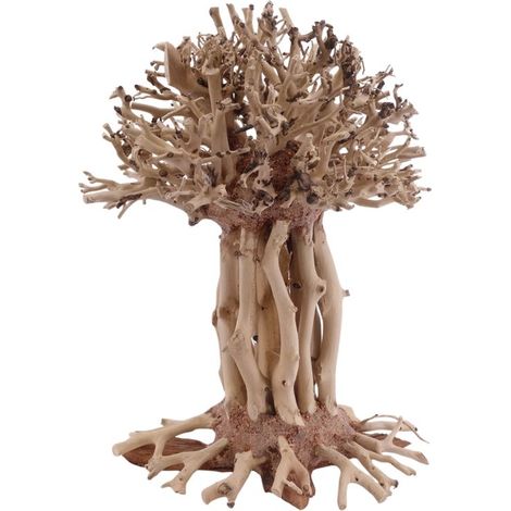 Bonsai Mammut Baum L 15x10x20 cm Wurzel Holz Aquarium Deko Aquascaping