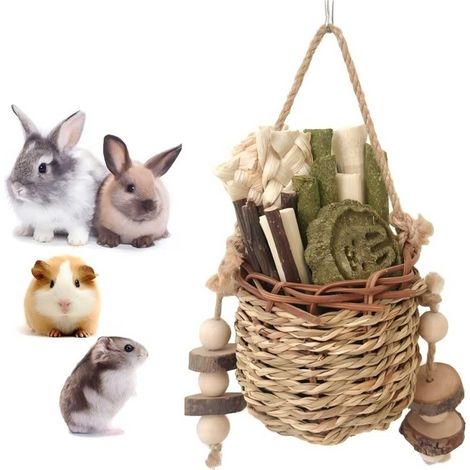 Jouet à mâcher pour petits animaux de compagnie, cage à lapin, jouet suspendu avec balle d'herbe Jouet carotte pour lapins, chinchillas, cochons d'Inde, hamsters, grincement de dents (1/5)