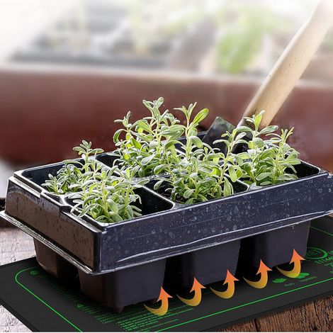 Manta térmica para semilleros con termostato digital impermeable – aprox. 52,5 cm x 25 cm, PVC y algodón, para germinación y reptiles, enchufe europeo 220 V (1/5)