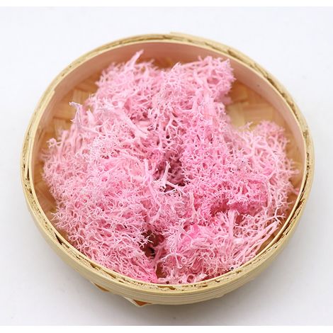 Mousse Artificielle – 10 G – 18 Couleurs – Décoration Mariage Noël DIY Intérieur Extérieur Sans Entretien – 1 Unité (1/5)