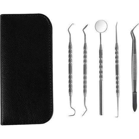 Kit Hygiene Dentaire - 5 Outils En Inox - Miroir D'Inspection Pince Et 3 Crochets - Pour Soins Dentaires Personnels - Lot De 1 (1/4)