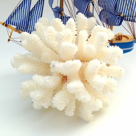 Arbre de corail blanc naturel de 12 à 14 cm, idéal pour la décoration d'aquarium, d'intérieur et d'aquarium. (1/5)