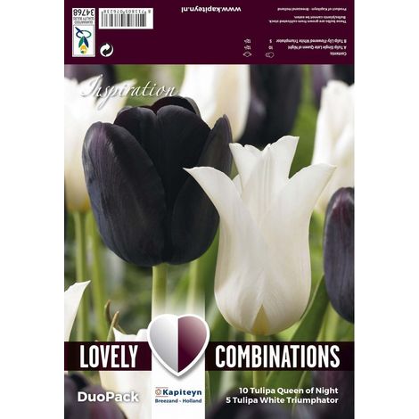 Bulbi Autunnali di Tulipano Combi Black & White confezione 15 pz KAPITEYN