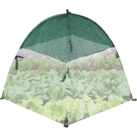 Tente de protection solaire pliable et respirante pour , ombrage des , pour fraises, myrtilles, tomates, fleurs, légumes, fruits, écureuils, cerfs, oiseaux, jardin (1/5)