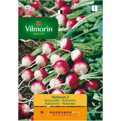VILMORIN Semillas de RABANITO REDONDO MULTICOLOR S-1, 4 gr