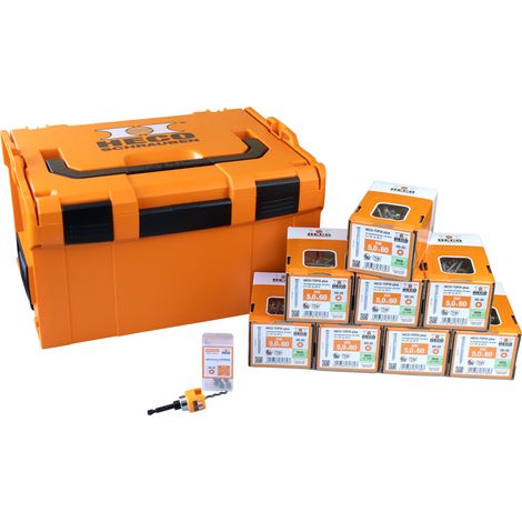 HECO Sortimentskoffer L-BOXX 238 Terrassenset Linsenkopf A2,  5,0x60 mit 1.600 Schrauben