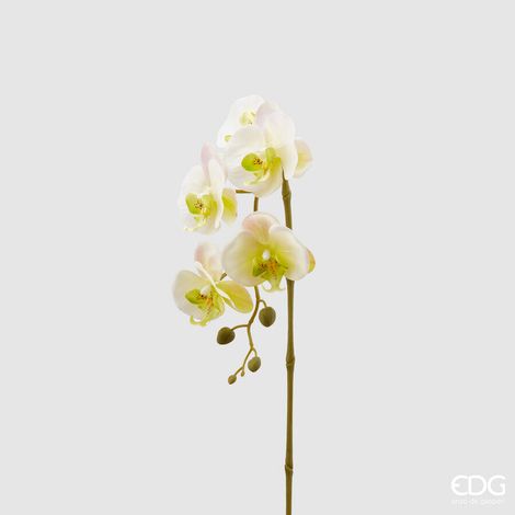 RAMO ORCHIDEA H.70 GIALLO/BIANCO