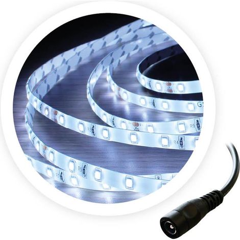 Rolle 5M LED-Streifen 6W/M 6000-6500K 24V (1/2)