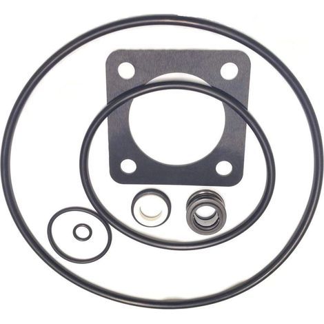 Ersatz-O-Ring-Set für Sta-Rite P2RA und P2R Maxe-Glas / Dura-Glas Pumpen (1/4)