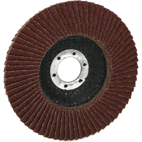 Fächerscheibe 125mm - Korn: 40 - für Winkelschleifer (1/2)