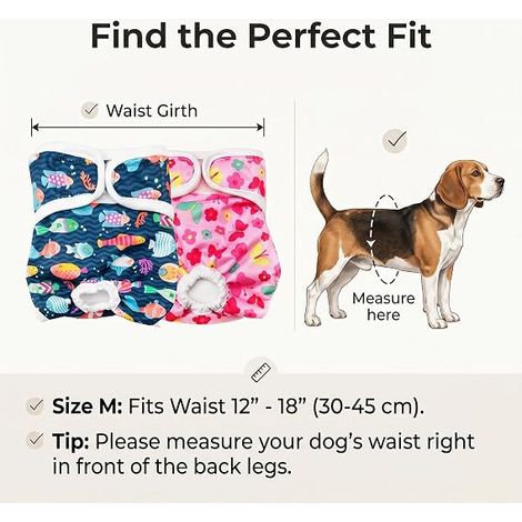 Culottes Réutilisables pour Chienne, Culotte pour Animaux de Compagnie, Absorbante, Réglable – pour Petite Chienne, Taille S (1/4)