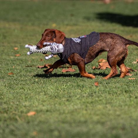 STAR WARS - VESTE EN JEANS POUR CHIEN - M CERDA 2800000776